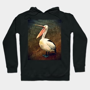 Pelican Yawning Hoodie